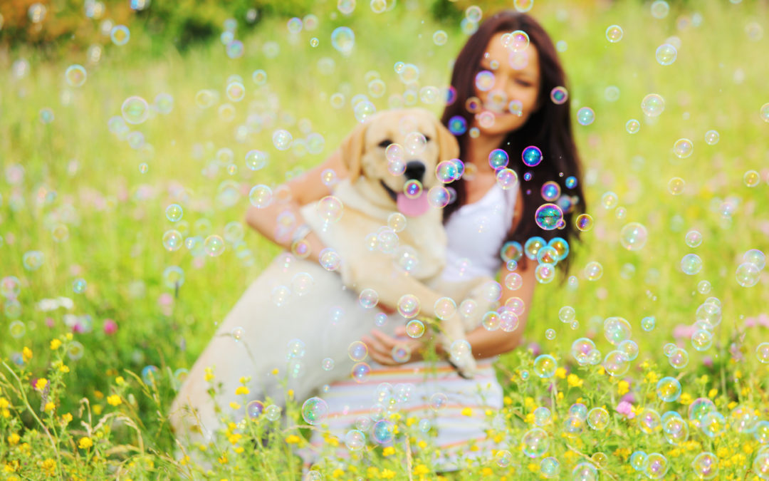 Why Every Pet Parent Needs to Consider a Pet Trust Today