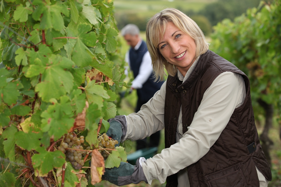 Estate Planning When Not All of Your Kids are in the Family Business